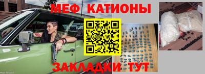 сатива Новозыбков