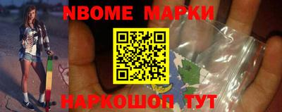 сатива Новозыбков