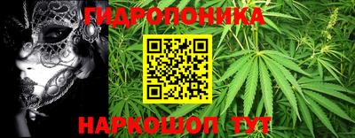 герыч Новодвинск