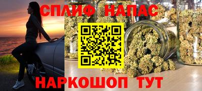 сатива Обь