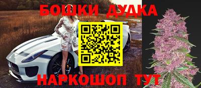 сатива Обь
