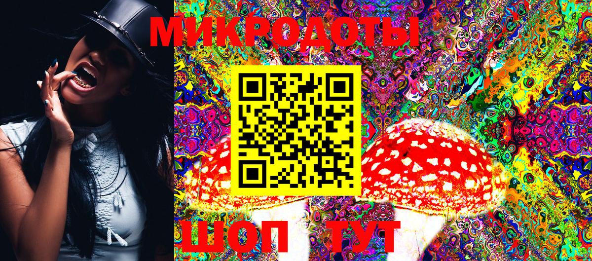 Псилоцибиновые грибы Psilocybine cubensis  Псилоцибиновые грибы мухоморы  Вход с VPN  Тула 