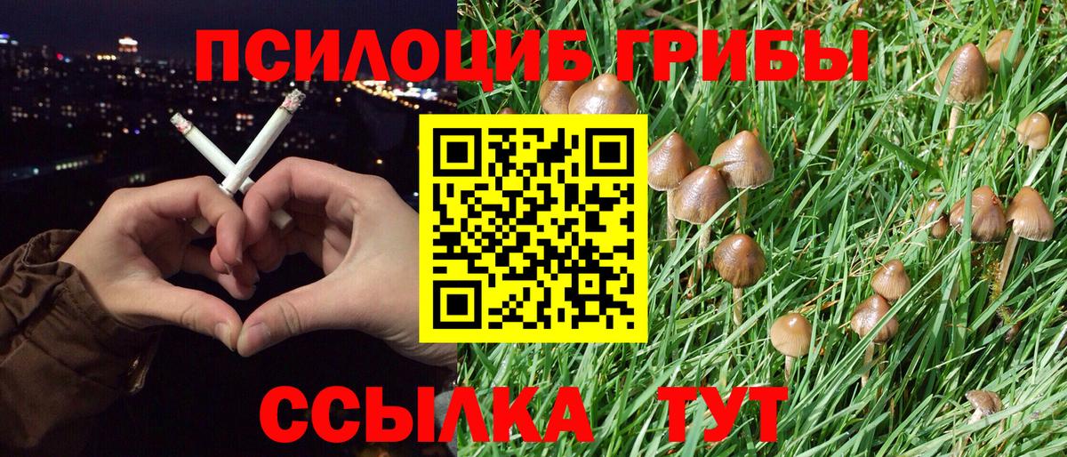 Псилоцибиновые грибы прущие грибы Тула